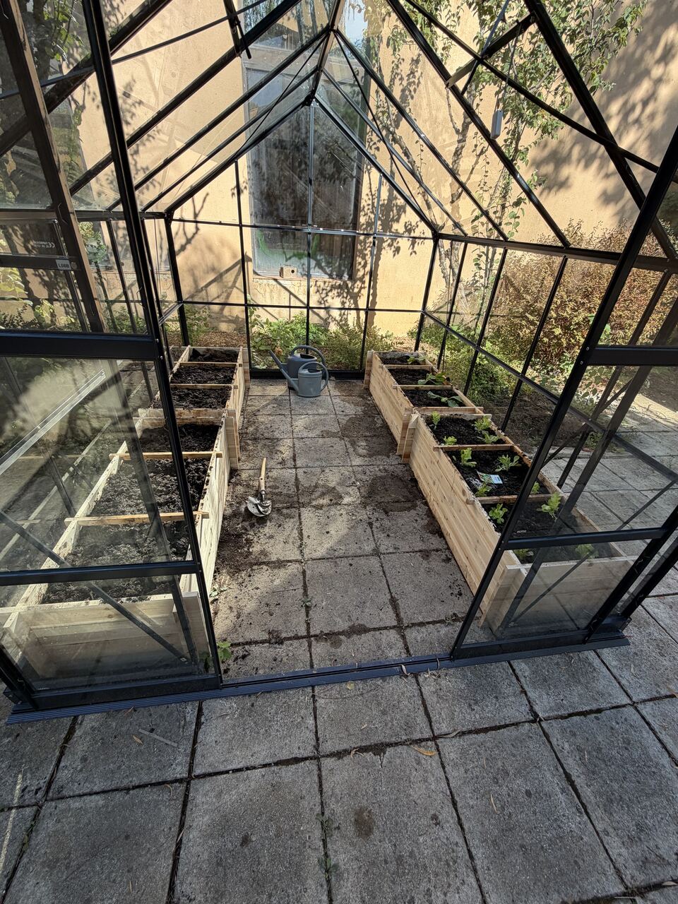 Intérieur d'une petite serre en verre vue depuis la porte coulissante ouverte : deux bacs en bois neufs de part et d'autre d'une allée dallée. Celui de droite est planté de jeunes salades et blettes encore petites, avec leurs étiquettes ; celui de gauche ne contient que de la terre nue. Un arrosoir gris et une petite pelle sont posés au sol.